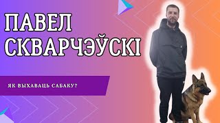 Кинолог рассказал, как правильно воспитывать собаку | СТОЛИЧНЫЙ ГОСТЬ