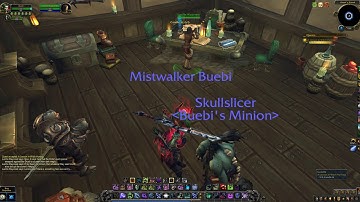 WoW quest - A Lesson in Witch Hunting