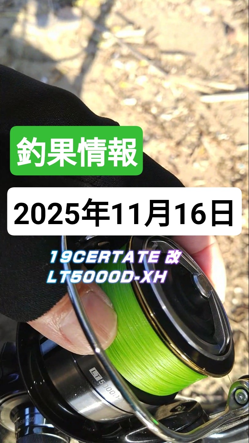 19 CERTATE改 LT5000D-XH！釣果情報！！2025年11月16日 ！！！】 #釣具