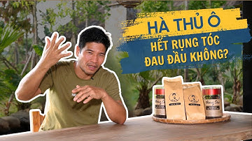 Em hay bị đau đầu, tóc rụng nhiều với chậm mọc dùng Hà Thủ Ô có hiệu quả không ? - Dương Sâm