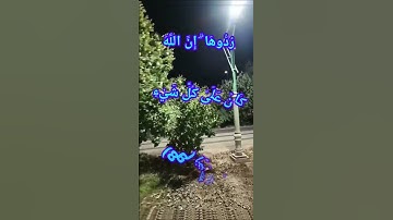 #قران_كريم #قرآن #قرآن_كريم #سورة_النساء #سورة_النساء :مَّن يَشْفَعْ شَفَاعَةً حَسَنَةً يَكُن لَّهُ