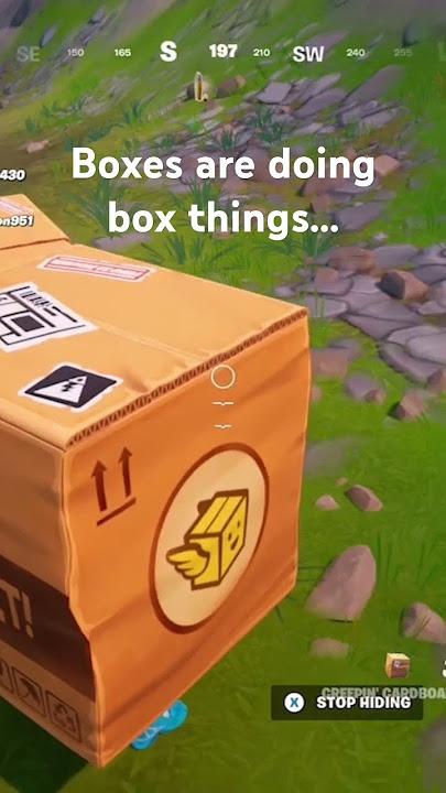 Boxxxx
