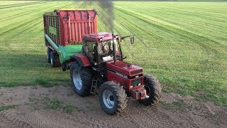 Gras inkuilen met Case International 1255XL + Strautmann Giga Vitesse II DO Duo & IHC 1056XL (2019)