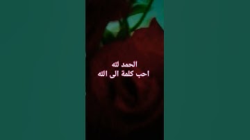 #سورة #النمل #اسلام_صبحي #quran #قران_كريم #القرآن_الكريم #islamicvideo #ramadan