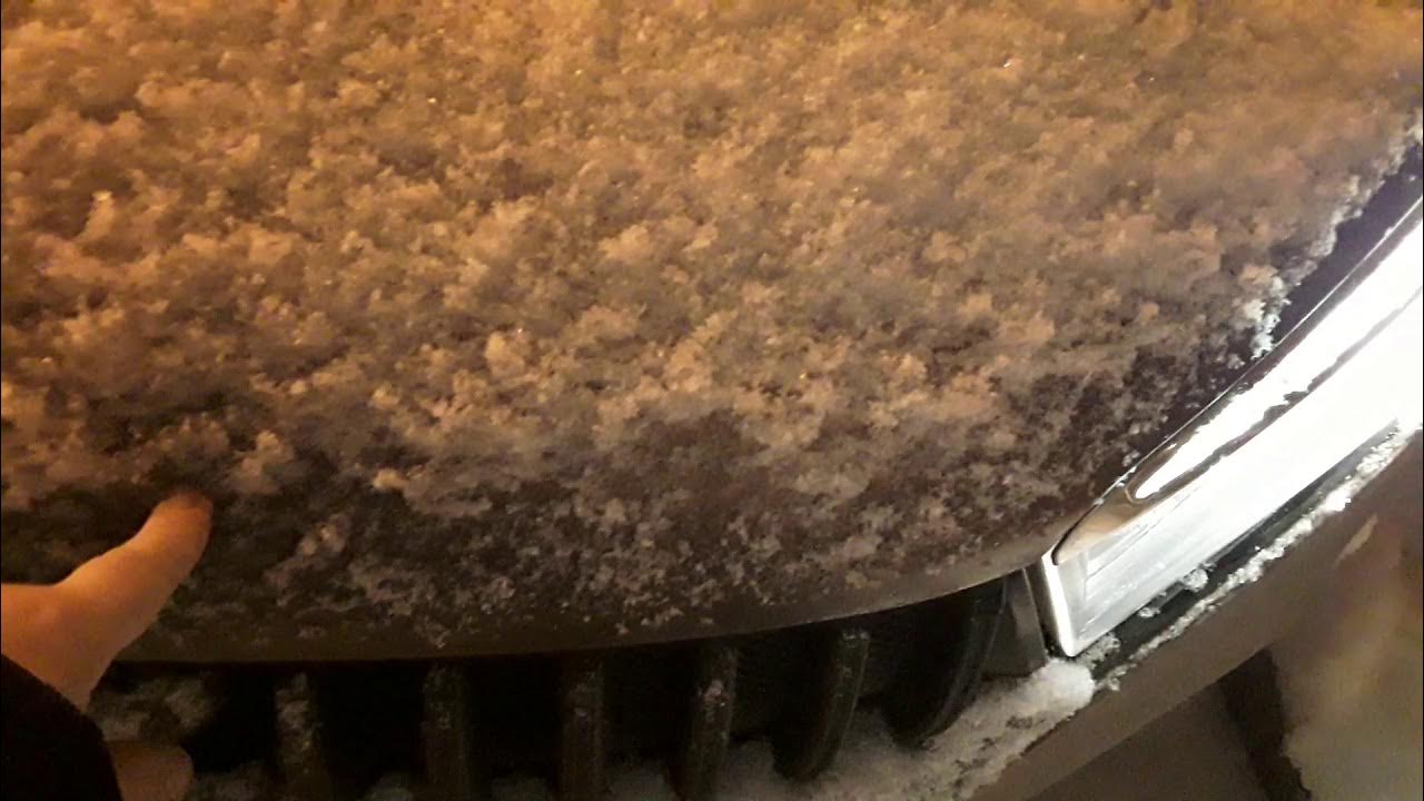 Право имеющие и твари дрожащие. Натрий сернистокислый безводный. Дрожжи быстродействующие allori. Дрожжит или дрожит как пишется. Дрожжи быстродействующие allori.