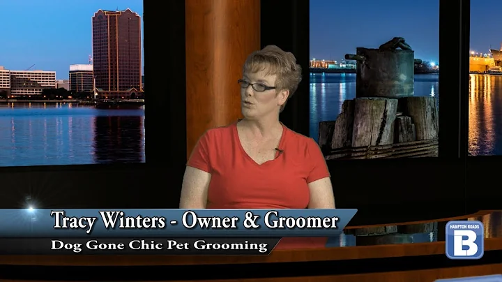 Dog Gone Chic Pet Grooming -  Tracey Winters