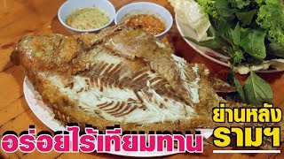 Top 5 ร้านเด็ด ย่านหลัง ม.รามคำแหง