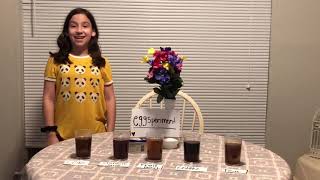 Eggsperiment (science fair experiment)