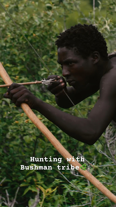 “Mamba” Tribal techno visual DJ Set by Raja #tribe #hunting #afrobeat #raja #mamba #djset