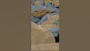 القران الكريم بصوت جميل #القرآن_الكريم #الكويت #الجزائر #السعودية #المغرب #العراق #قصص_واقعية