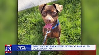 Family dog shot, killed in Eagle Mountain neighborhood; Investigators seek video, info