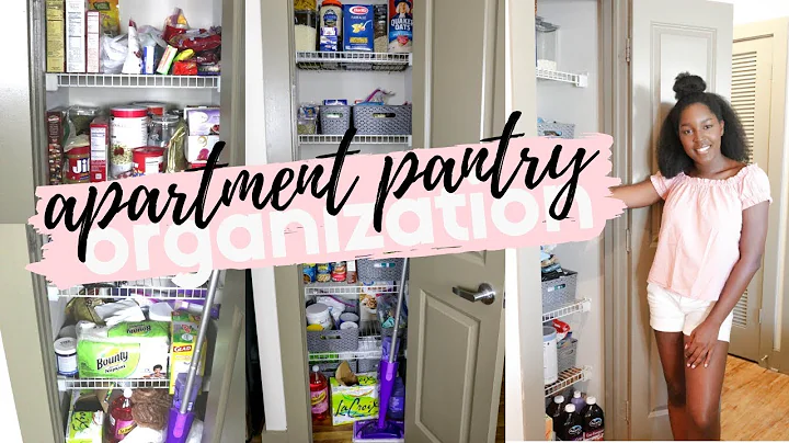 AFFORDABLE APARTMENT PANTRY DECLUTTER & ORGANIZATION
