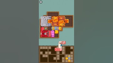 Funny Puzzle Cats 268 #shorts