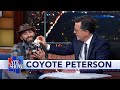 Coyote Peterson Introduces Some Adorable Australian Animals