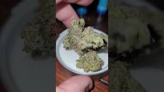 💥⭐️⭐️⭐️💥BLUEPRINT CANNABIS CO STRAIN THE PIPER ⭐️🚨🚨🚨⭐️