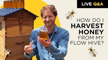 How do I harvest honey from my Flow Hive?
