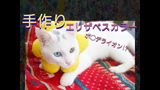 猫用【手作りエリザベスカラー】子猫でも軽くて動きやすい