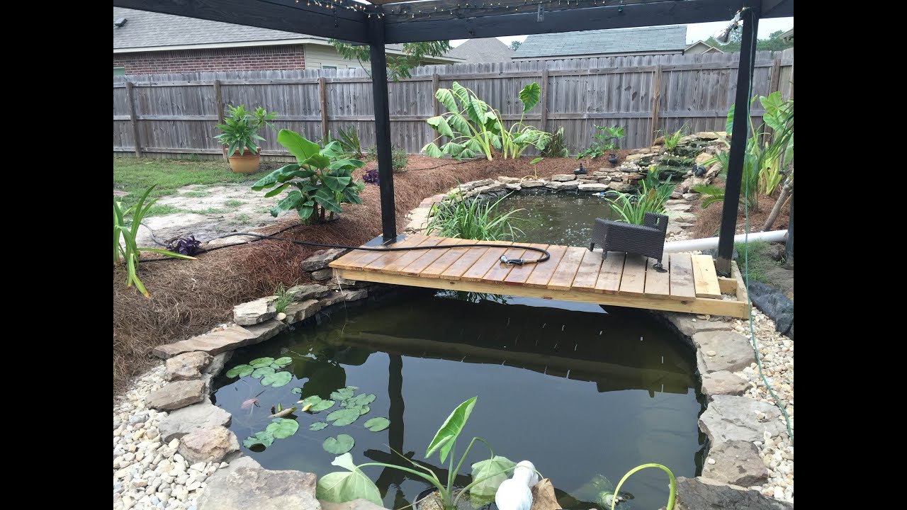 I'm back! Huge koi upgrade!