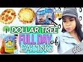 DOLLAR TREE: WHAT I EAT IN A DAY 2018! FULL DAY OF EATING DOLLAR STORE FOOD | REVIEWS + RECIPES #2