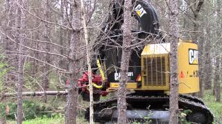 2014 CAT 501HD Harvester with PF48 4 Roller Head