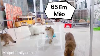 Lộ Mặt Chồng Money Và Gia Thế Khủng Của Nhà Trai - Mật Pet Family