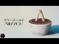 アイミョン - マリーゴールド / Aimyon - Marīgōrudo
