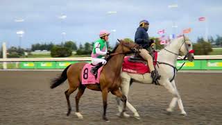 Gulfstream Park Replay Show | September 22, 2024 Information