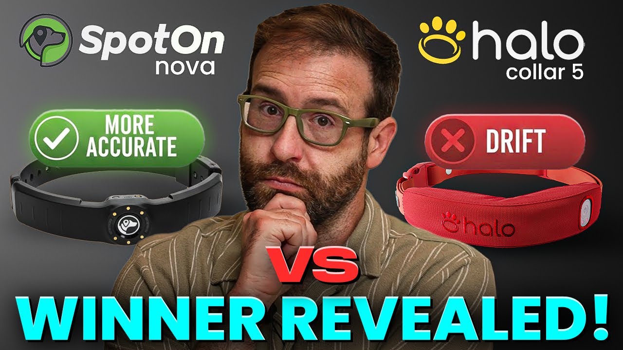 SpotOn Nova vs Halo Collar 5 — After Testing Both, Only One Was Truly Accurate