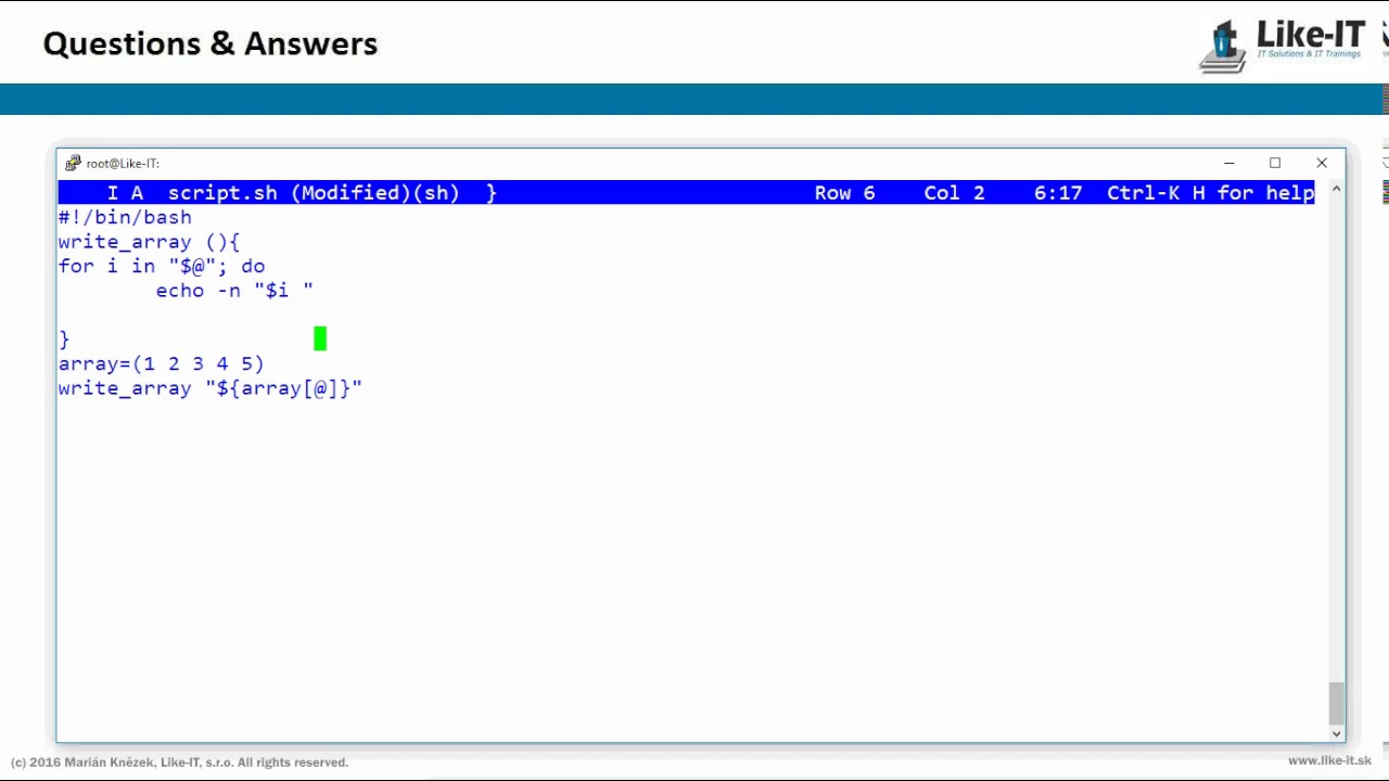 Bash function