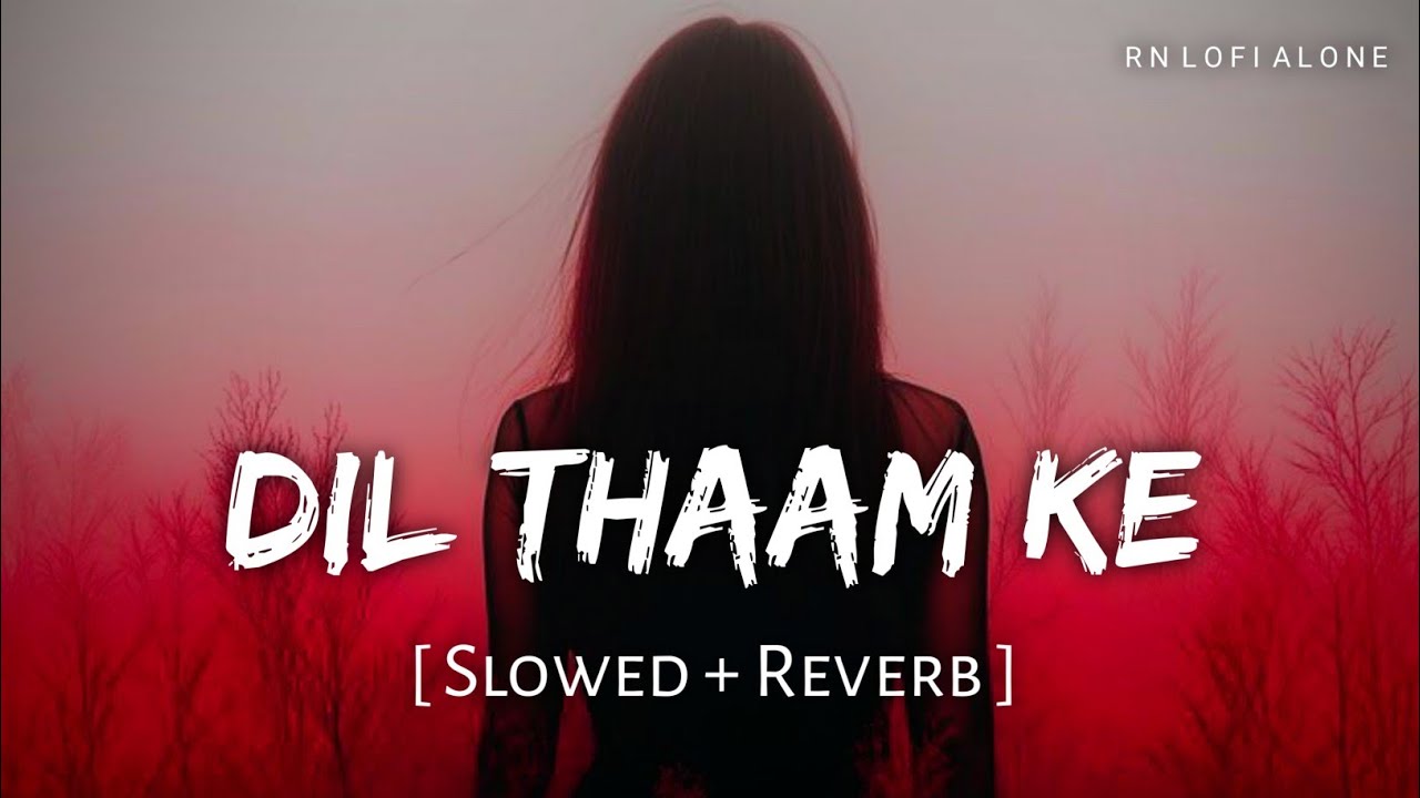 Dil Thaam Ke Lofi (Slowed + Reverb) | Rana Majumdar, Rashmeet Kaur | Maalik | RN Lofi Alone
