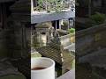 Khoobsoorat Nazareвќ пёЏ Travel Nature Shorts Beautiful Love Beauty Like Bali Ubud Trending Khoobsoorat Nazareвќ пёЏ Travel Nature Shorts Beautiful Love Beauty Like Bali Ubud Trending