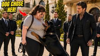 The Mafia Boss Accused a Plus-Size Dog Walker of Theft—Then His Dog Chose Her Instead
