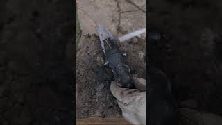 Casting Sumerian Dagger Out Of Bronze