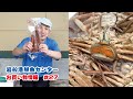 岩船港鮮魚センター（お買い物情報#27）【カニ・鮭とば・鮭二色丼・たらこ・筋子】