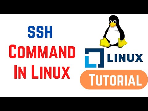 ssh command in Linux with Examples