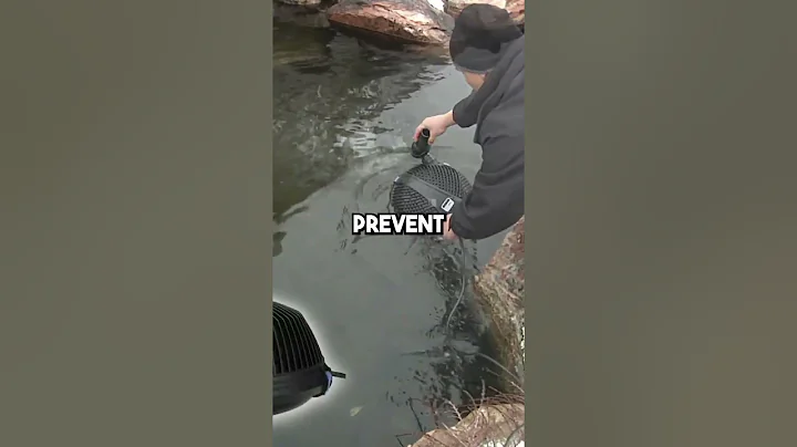 WHAT IF MY POND FREEZES?! #Shorts