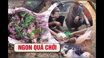Chế biến và ăn món heo nóng của người Tây Nguyên | món ngon, lạ so với các loại ẩm thực khác.