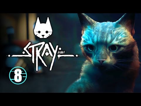 Видео: Stray • 8 • Канализация • Прохождение без комментариев