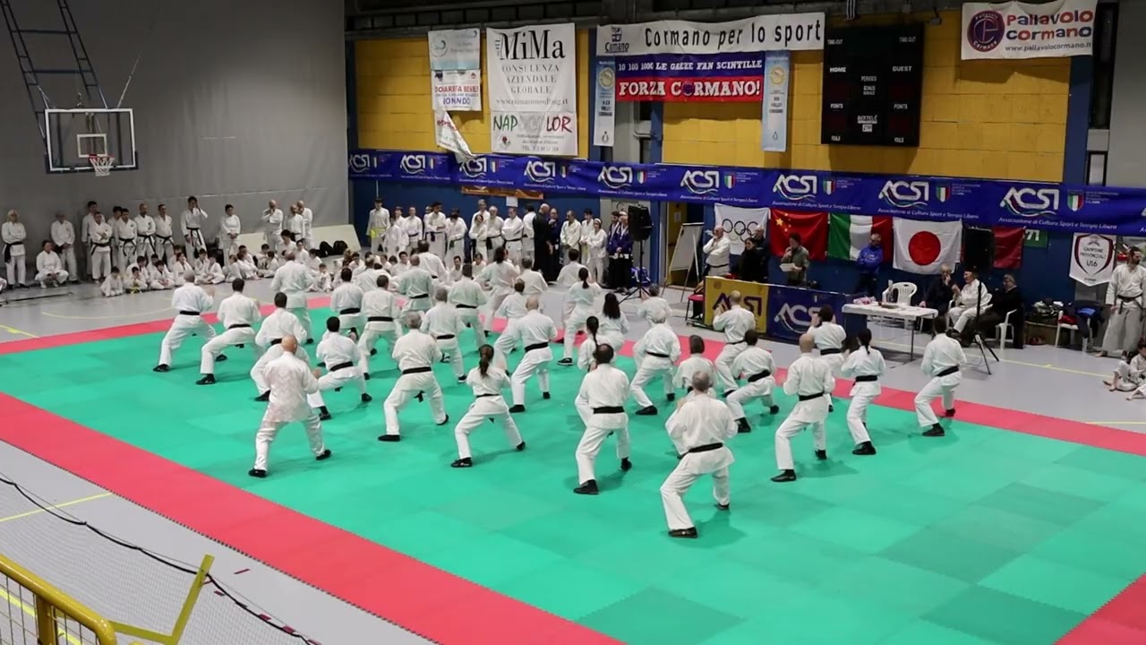 Festa della arti marziali 11º trofeo Mº Roberto Fassi 