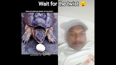 Wait for the twist 😦 #tutorialfilter #youtubeshorts #shorts #viral