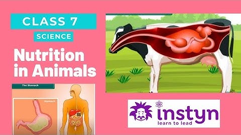 7th Standard  Science 2nd Lesson Part 1 Sem 1 2021 22