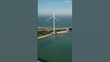 Towards a strong and sustainable EU Algae sector