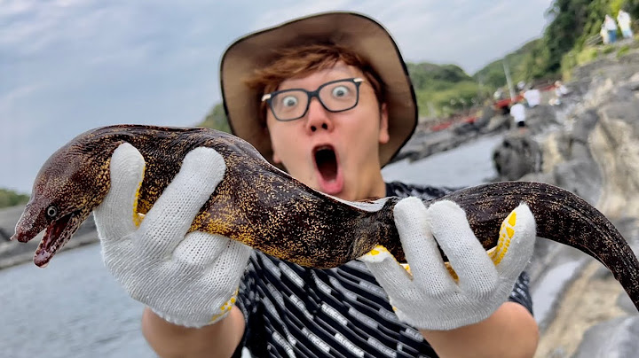 ヒカキンにウツボ食べさせてみた