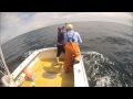 900 lb Giant bluefin tuna aboard the Typhoon Sept 16, 2014