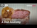 Memories On A Plate Season 2: A Dish Anatomy // Viddsee Originals