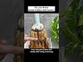 I Can’t Believe This Actually Works #lifehack #lifetips #diy #fyp #viral #reels #shorts