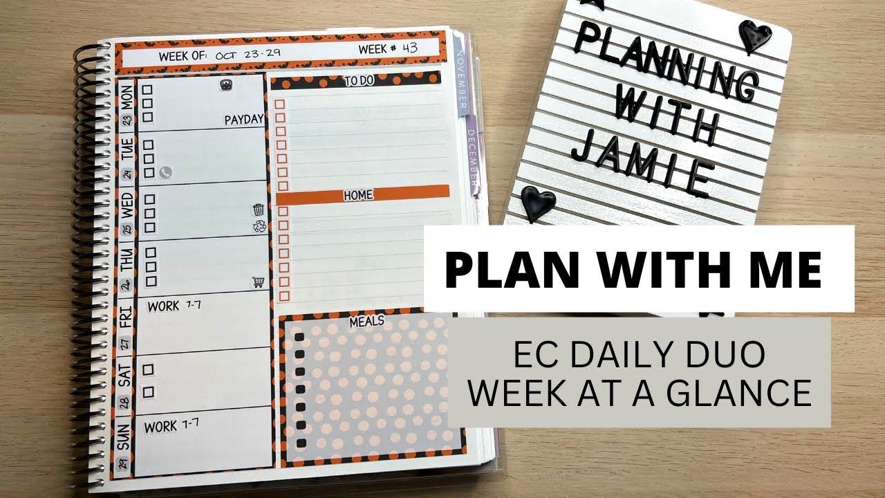 PLAN WITH ME | DAILY DUO WEEK AT A GLANCE | ERIN CONDREN PLAN WITH ME ...