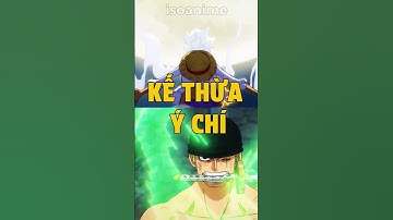 Luffy và Zoro là sự tái sinh của huyền thoại? #onepiece #anime