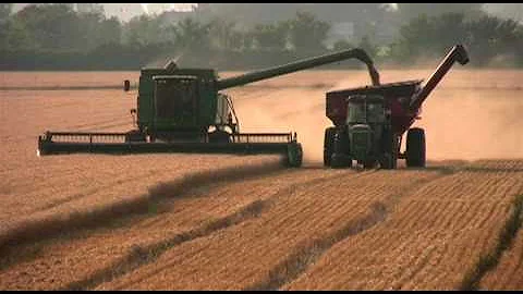 Harvesting Grain Crops Video - DayDayNews