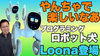 【安くなったね！】スマート トイ「Loona」は、いわゆるペットロボットです。なんと、４万円台から買えるとは安くなりましたね！